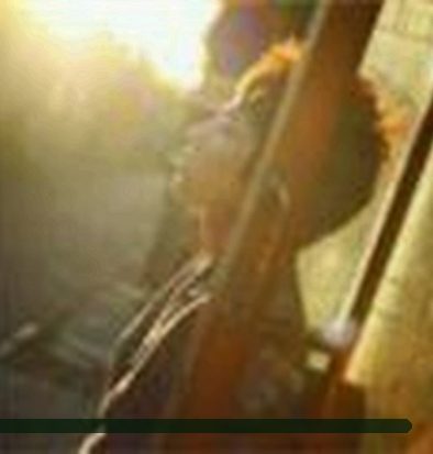 张磊